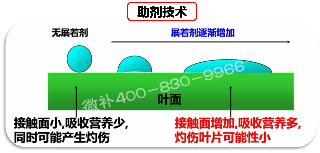 余教授德國(guó)鄉(xiāng)村行：我在德國(guó)為什么不會(huì)點(diǎn)啤酒了？