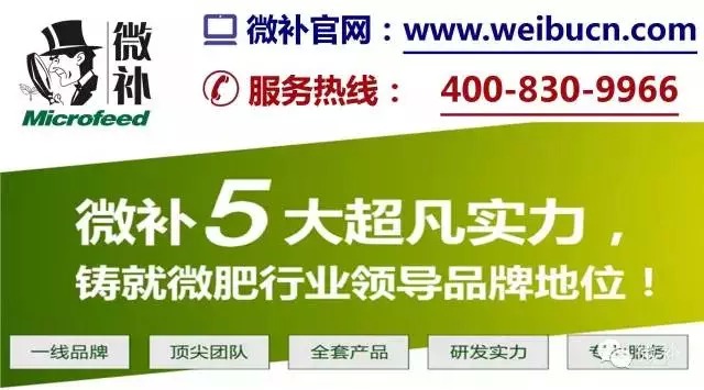 余教授奧地利鄉(xiāng)村行：萬科為什么說把奧地利小鎮(zhèn)搬回來？